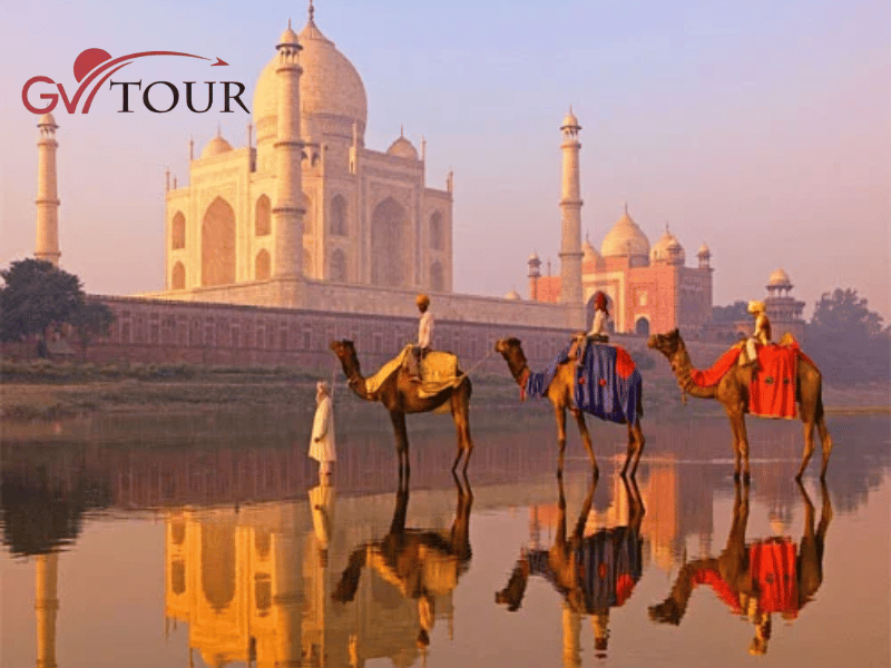 Thiết kế chưa có tên (27)